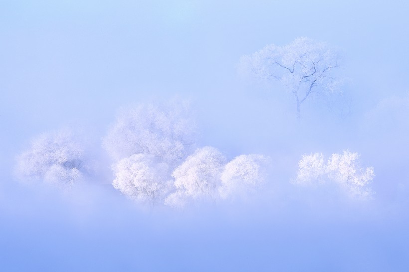 点击大图看下一张：唯美雾凇风景图片