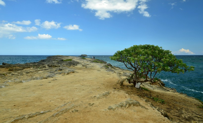 点击大图看下一张：夏威夷海岸风景图片