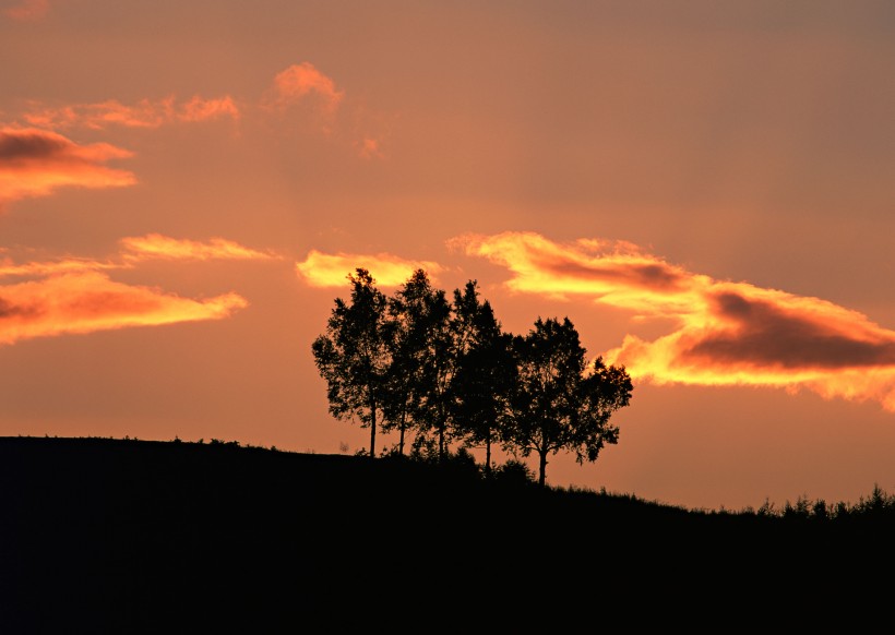 点击大图看下一张：绚丽夕阳景色图片