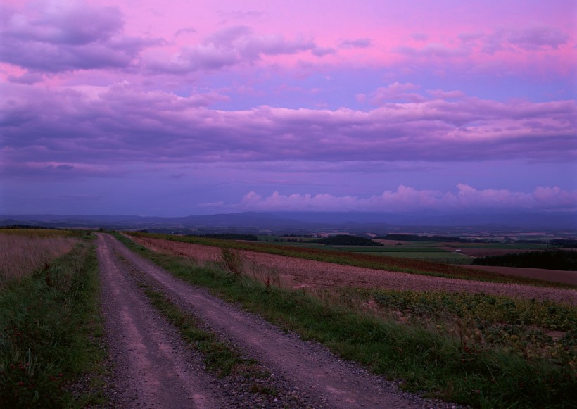 点击大图看下一张：夕阳下的马路图片