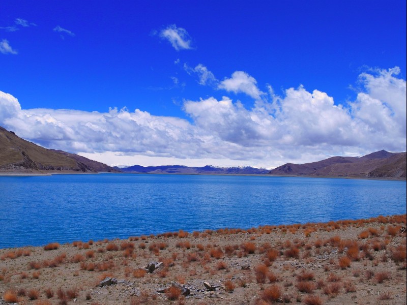 点击大图看下一张：西藏吉隆沟风景图片