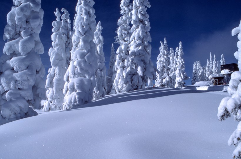 点击大图看下一张：白雪皑皑的美景图片