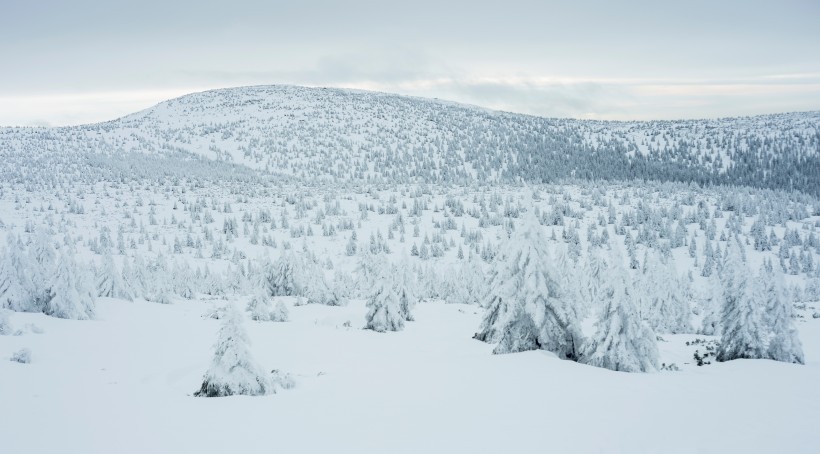 点击大图看下一张：白雪皑皑的美景图片