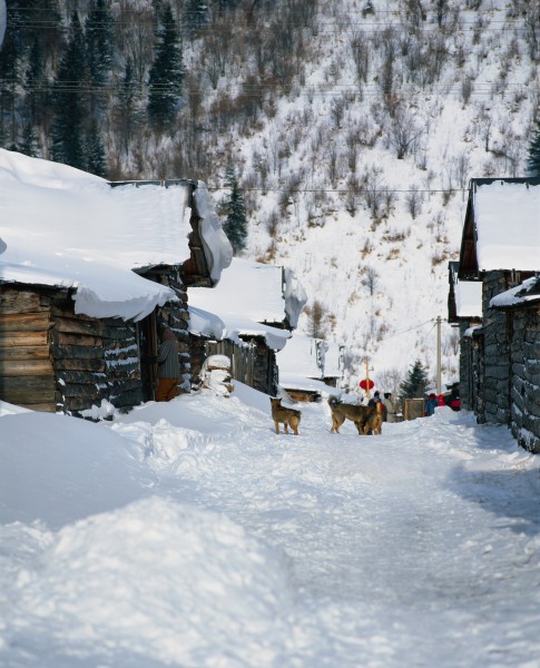 点击大图看下一张：雪与村庄图片