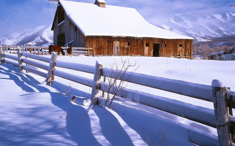 点击大图看下一张：雪中小木屋图片