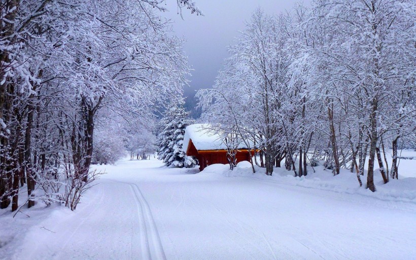 点击大图看下一张：雪中小木屋图片