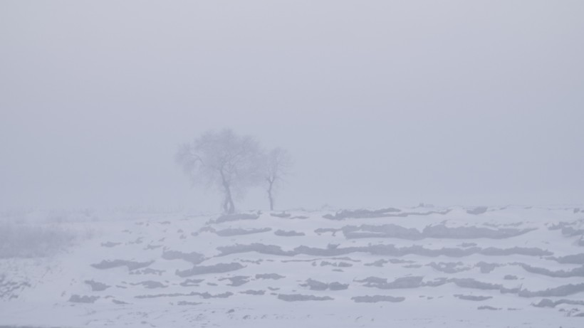 点击大图看下一张：大自然的馈赠唯美雪景图片