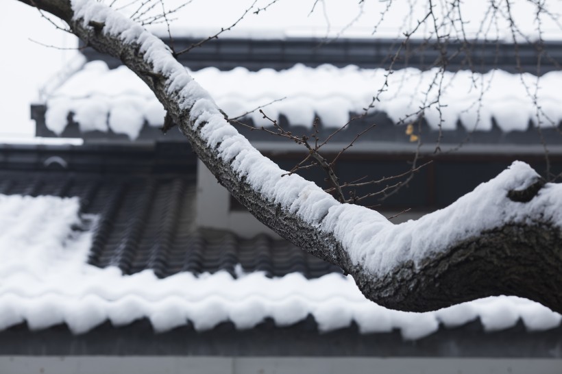 点击大图看下一张：寒冷冬季雪景图片