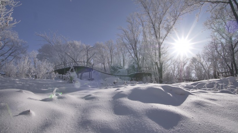 点击大图看下一张：大自然的馈赠唯美雪景图片