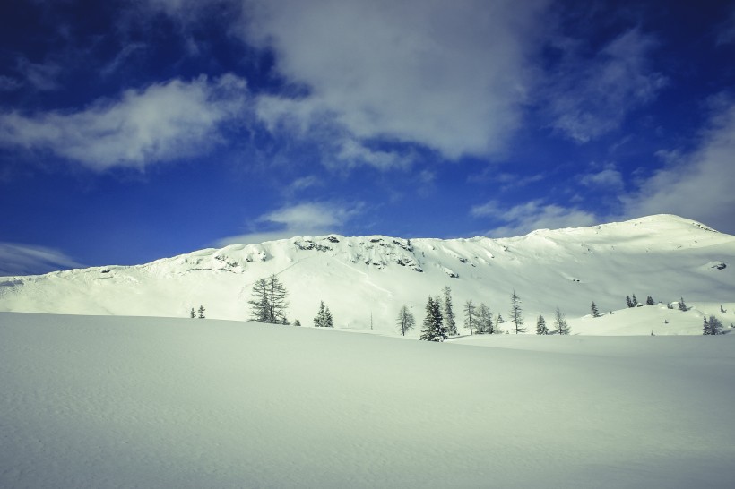 点击大图看下一张：白茫茫的雪景图片