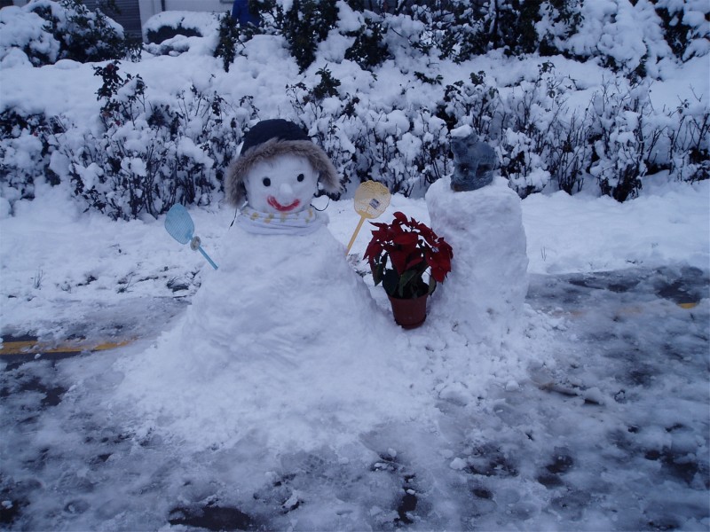 点击大图看下一张：冬季可爱雪人图片