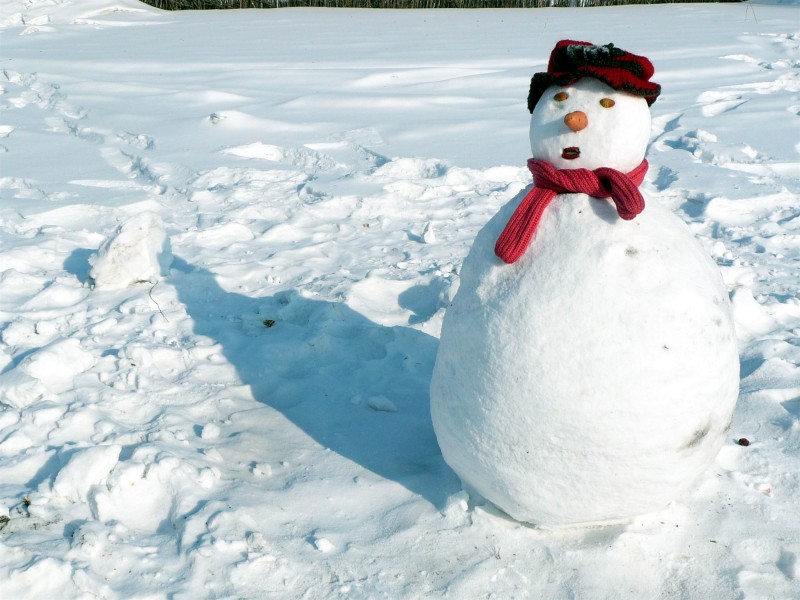 点击大图看下一张：冬季可爱雪人图片