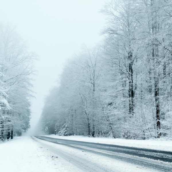 点击大图看下一张：雪天道路两旁风景图片