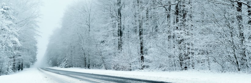 点击大图看下一张：雪天道路两旁风景图片