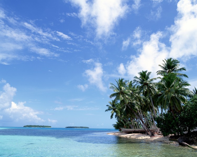 点击大图看下一张：热带椰树绝美风景图片