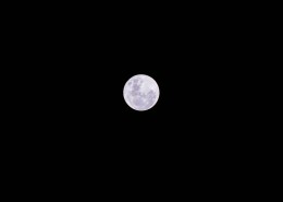 圆圆的月亮图片_15张