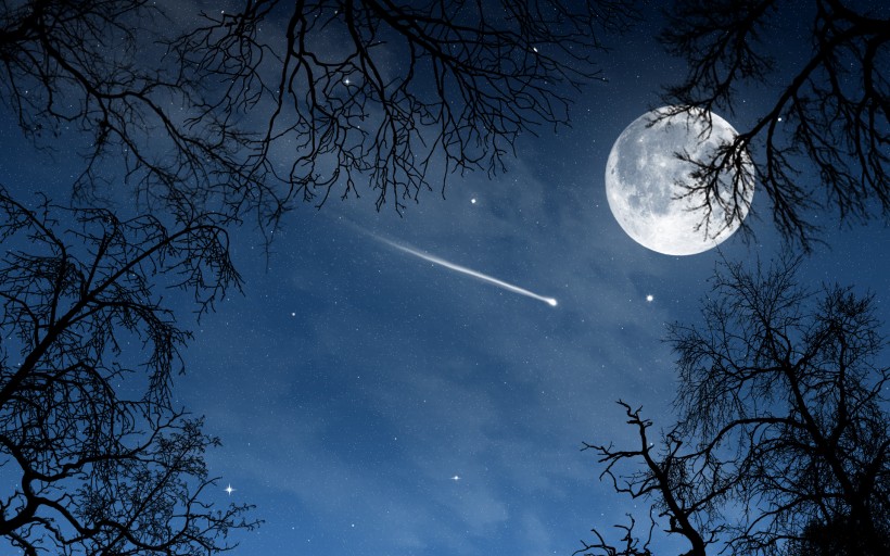 点击大图看下一张：月圆之夜 图片
