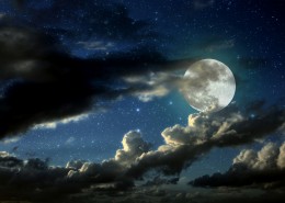 月圆之夜 图片_23张