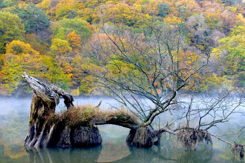 点击大图看下一张：云雾缭绕风景图片