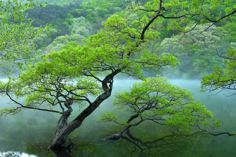 点击大图看下一张：云雾缭绕风景图片