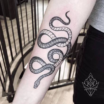 点击大图看下一张：小蛇纹身：适合女士的一组黑灰纹身小蛇图案