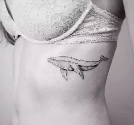 点击大图看下一张：很漂亮的一组鲸鱼纹身作品图片欣赏