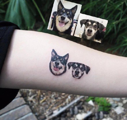 点击大图看下一张：18张可爱的宠物狗狗纹身作品欣赏