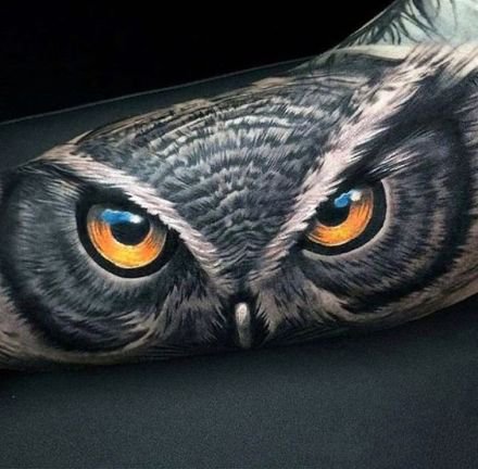 点击大图看下一张：9张黑暗系3d写实猫头鹰纹身图案作品
