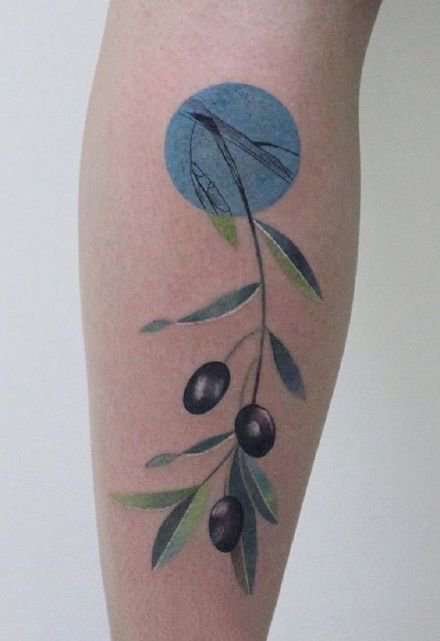 点击大图看下一张：9张橄榄枝和果实的植物纹身图案