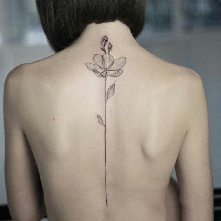 点击大图看下一张：女生后背部脊椎处唯美的小清新纹身图
