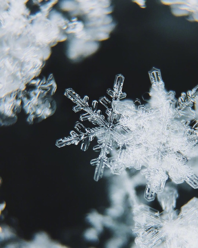 点击大图看下一张：雪花很白很白，白的那么纯洁的模样