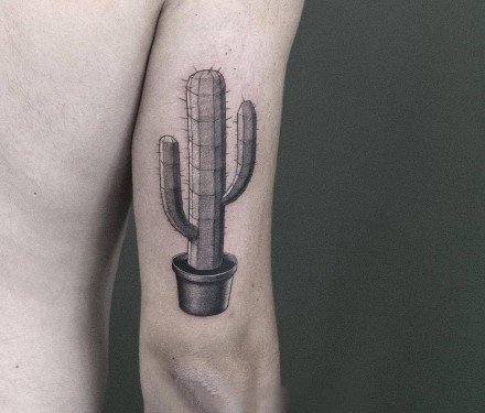 点击大图看下一张：植物仙人掌的一组个性纹身图片