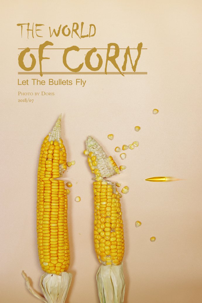 点击大图看下一张：玉米也可以拍的很有艺术感
