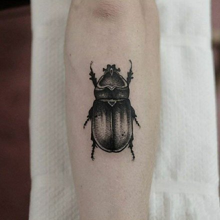 点击大图看下一张：精致的一组小昆虫纹身图片