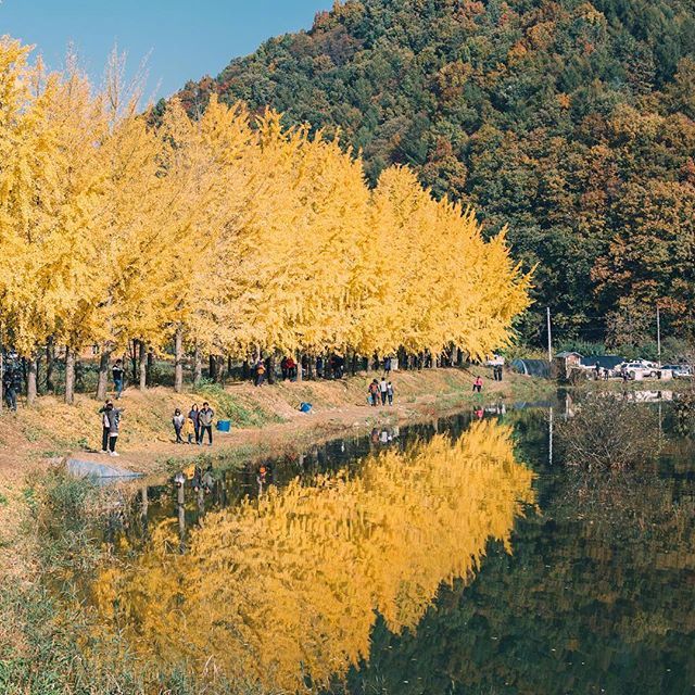 点击大图看下一张：青山隐隐水迢迢，秋尽江南草未凋