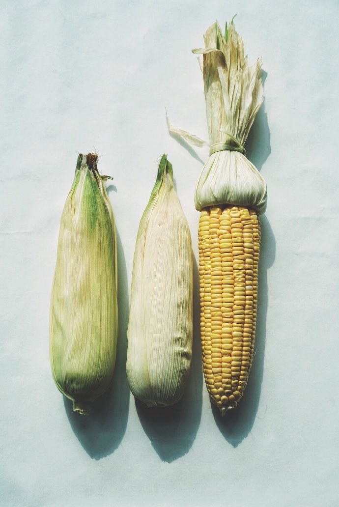 点击大图看下一张：一组超文艺的玉米拍摄图片欣赏