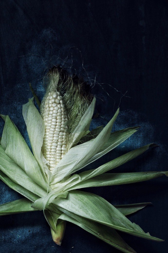 点击大图看下一张：一组很嫩的玉米意境拍摄图