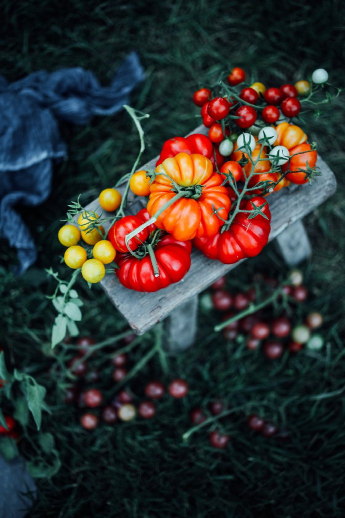点击大图看下一张：西红柿为什么这么好看又这么好吃