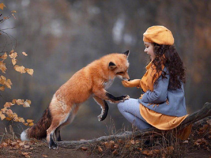 点击大图看下一张：莫斯科摄影师镜头下的小姑娘与动物，好美，