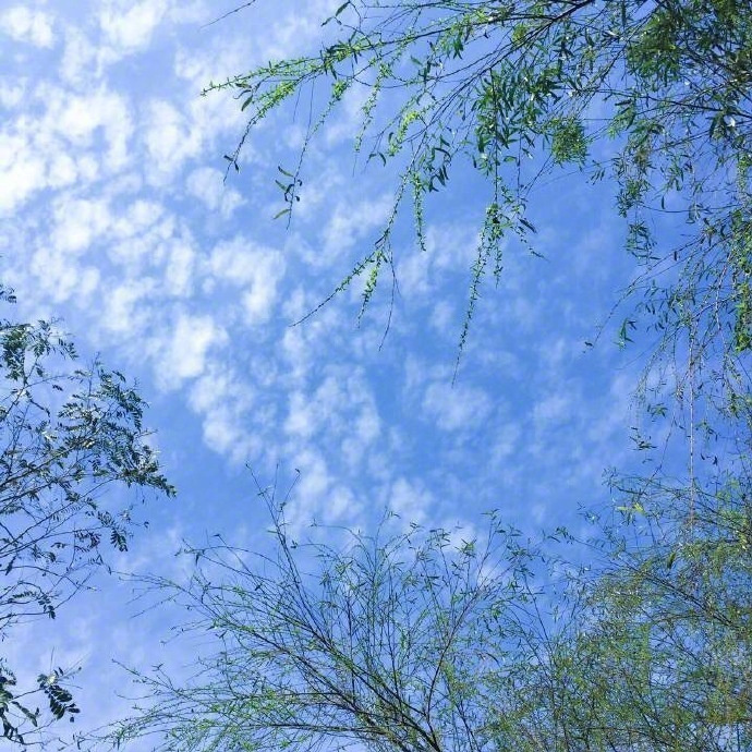 点击大图看下一张：一组蓝天白云的的美好风景壁纸欣赏
