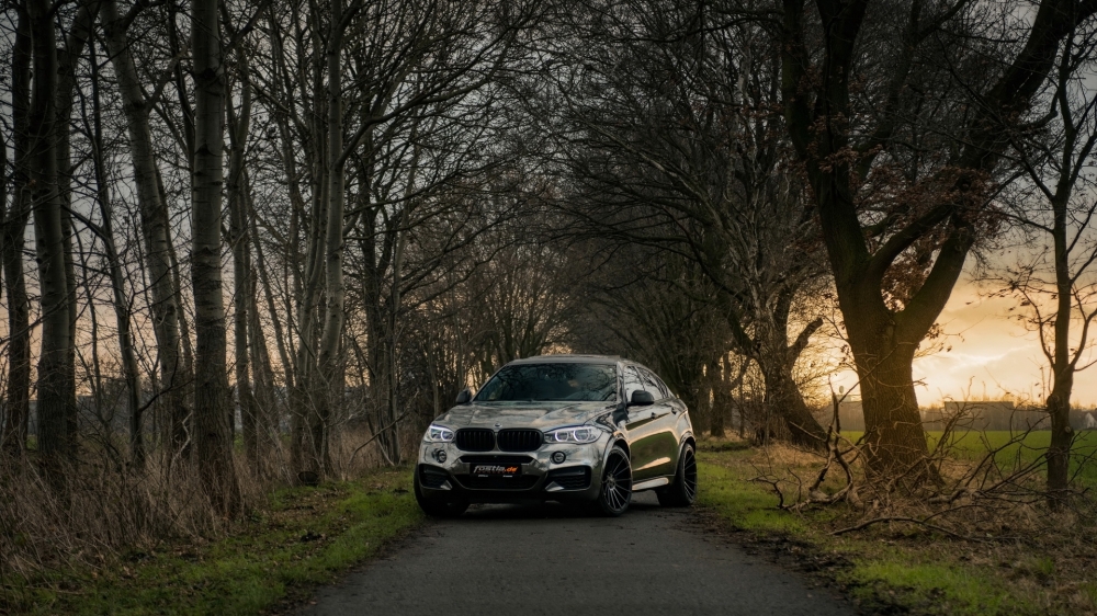 点击大图看下一张：2018 fostla.de BMW 宝马 X6 M50D F16图片