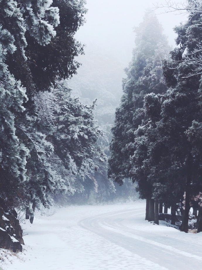点击大图看下一张：一组庐山下雪时的美景拍摄图片欣赏