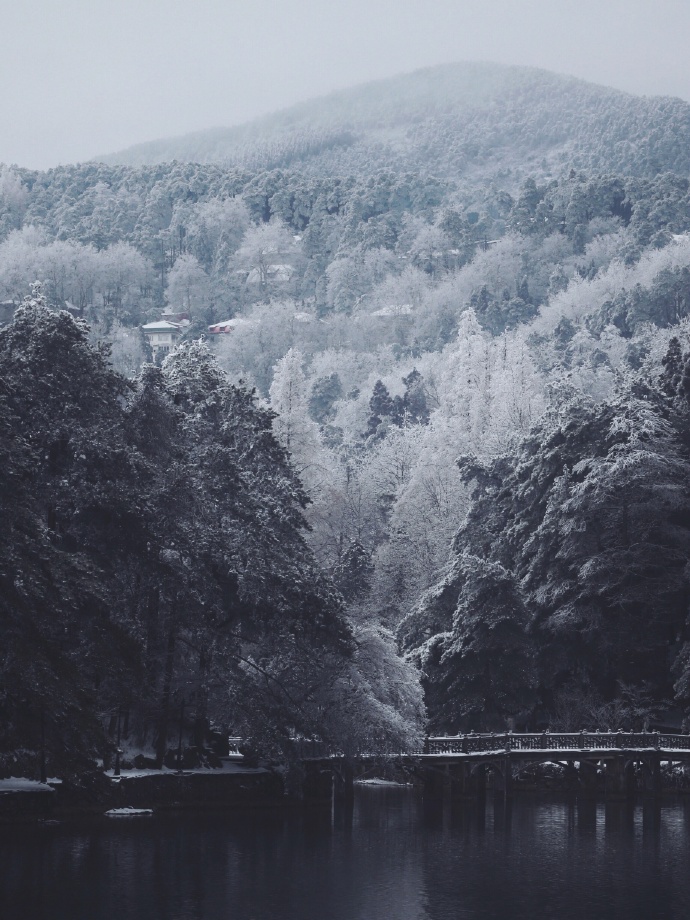 点击大图看下一张：一组庐山下雪时的美景拍摄图片欣赏