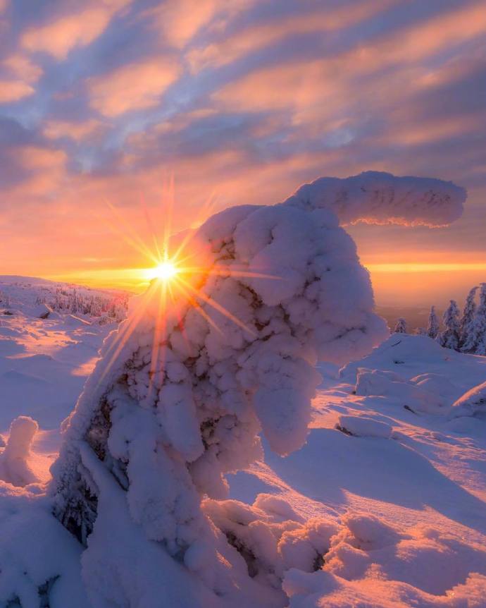 点击大图看下一张：一组在阳光照耀下的雪景图片欣赏