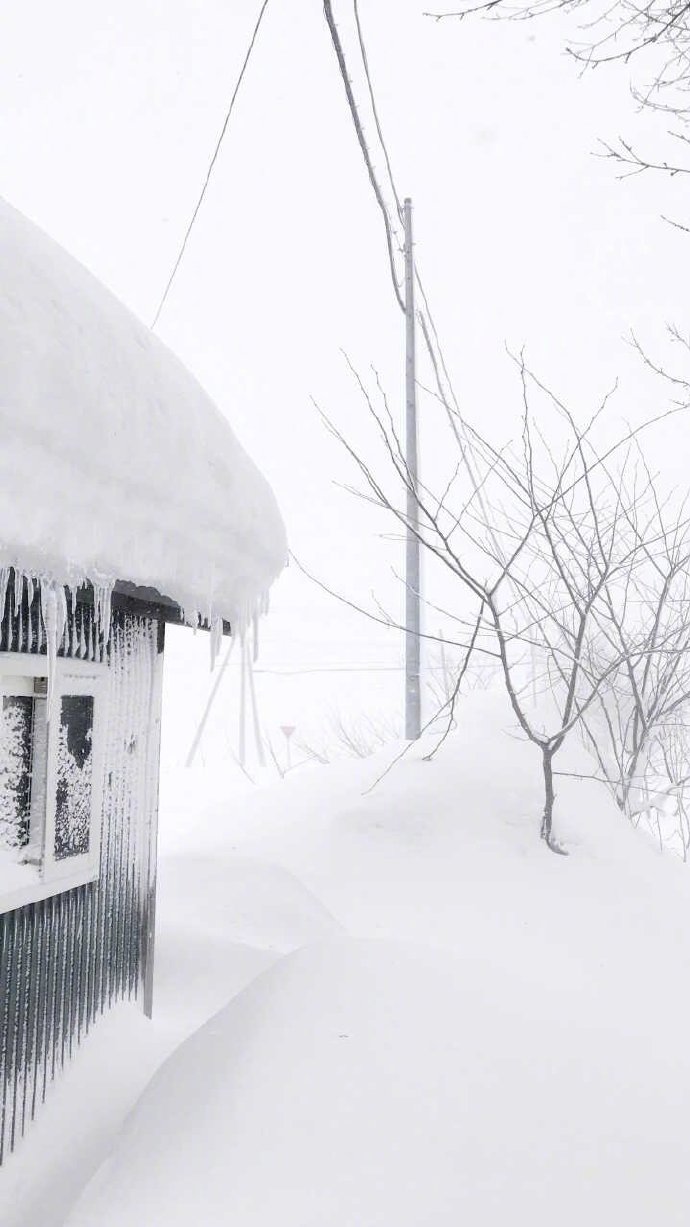 点击大图看下一张：下雪后的纯白世界的拍摄图片欣赏