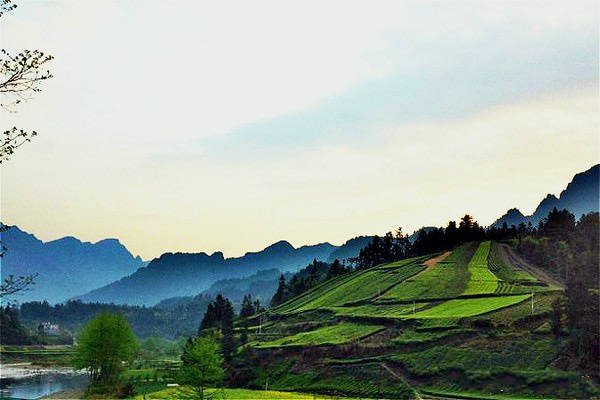 点击大图看下一张：茶海，宛若世外桃源——荆楚第一羌寨的麻柳溪