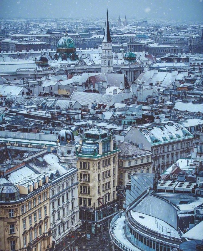 点击大图看下一张：不知我是否有幸  去维也纳陪你看一场雪