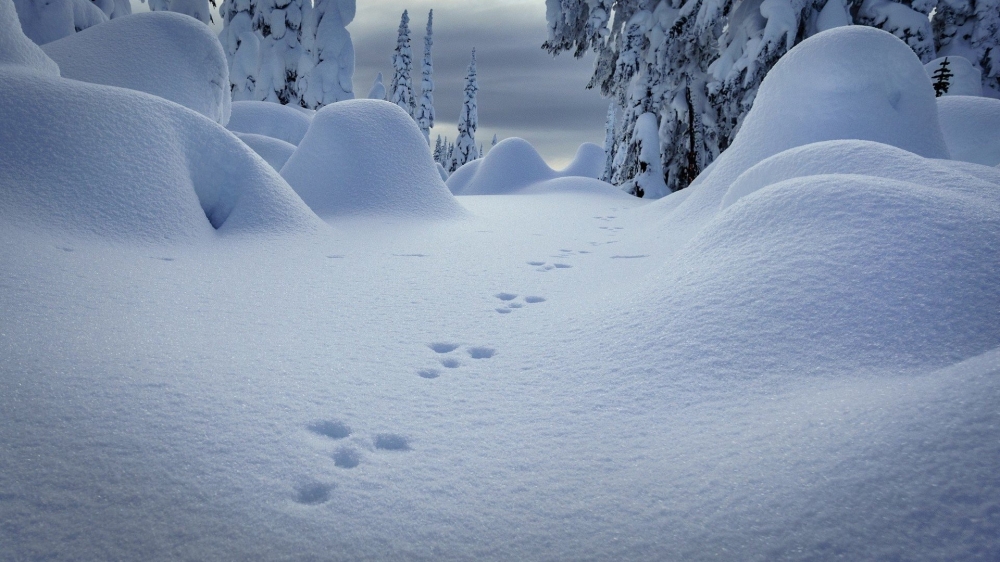 点击大图看下一张：冬天皑皑白雪高清自然风景图片欣赏