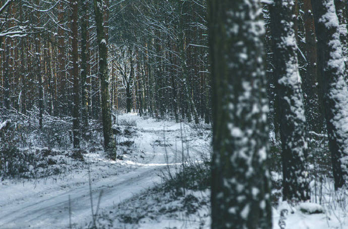 点击大图看下一张：雪中的大自然是这般美丽 美景图片欣赏