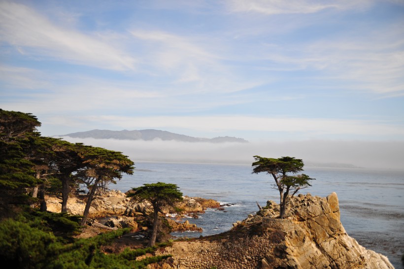 点击大图看下一张：美国加州17哩海岸风景图片